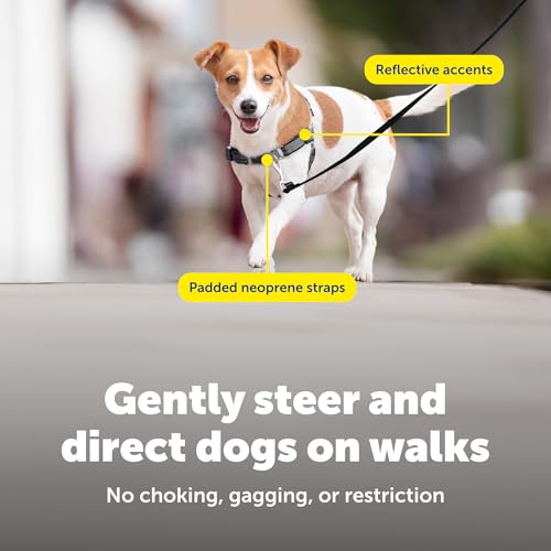 Deluxe Easy Walk Harness (Small / Steel Grey)