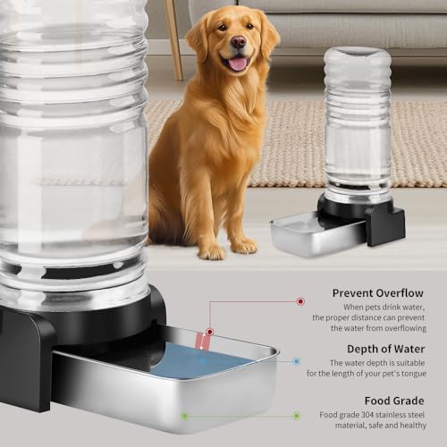 1 Gallon Cat Water Dispenser