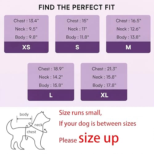 Small Dog Sweaters (purple / X-Small)