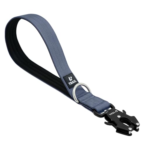 14 Inch Traffic Dog Leash with Padded Handle (Steel Blue Gray)