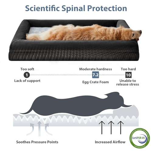 Giant Dog Bed Orthopedic for Senior Dog Bed Comfy Sleeping (Black / XXXX-L (61x43x7.5in))