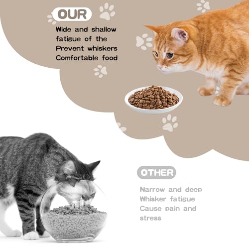 6 Pack Cat Food Bowl (White-A)