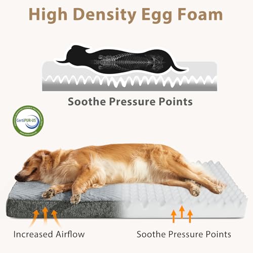 Orthopedic Dog Bed for Small Dogs (S(23"x17") / Light Grey)
