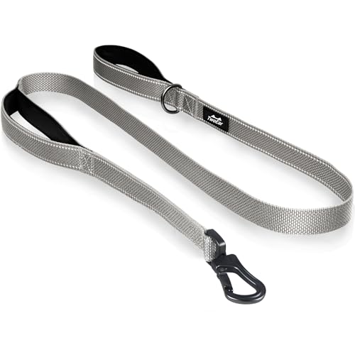 4FT 1IN Heavy Duty Dog Leash for Large Dogs with 2 Padded Handles (Grey / 1 in x 4 ft)
