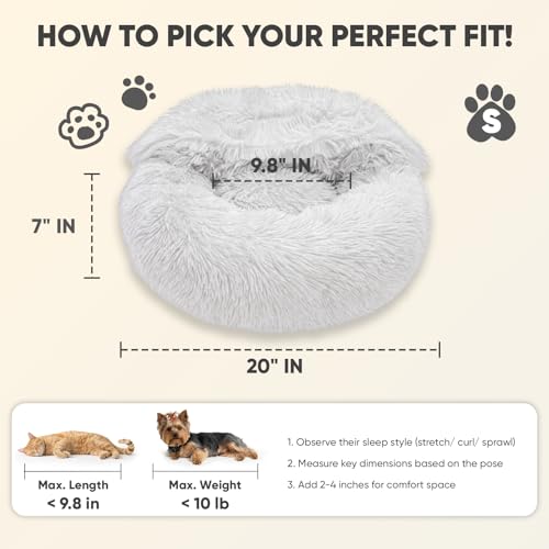 Small Cat & Dog Bed with Cover (20.0"L x 20.0"W x 7.0"Th / Light Grey)