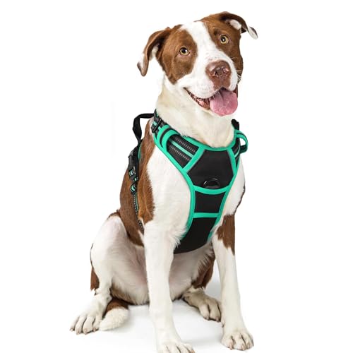 Dog Harness No Pull for Large Dogs with 2 Leash Clips (Large / Black & Turquoise)