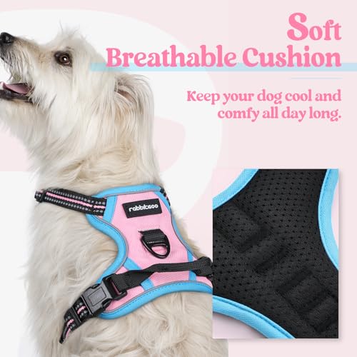 Dog Harness No Pull for Small Dogs with 2 Leash Clips (X-Small / Pink & Blue)