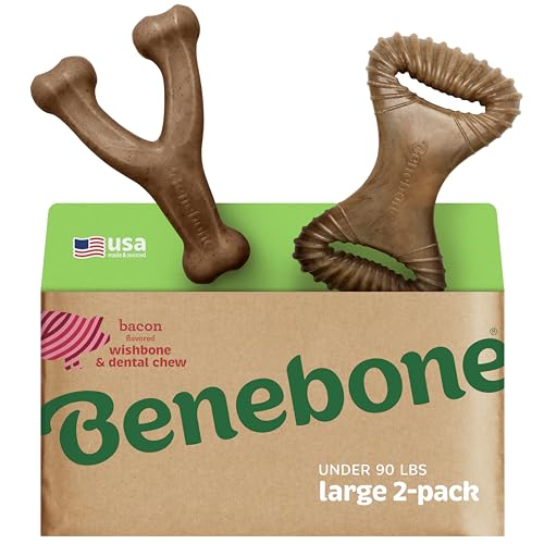 2 Pack Wishbone (Large / Wishbone/Dental)