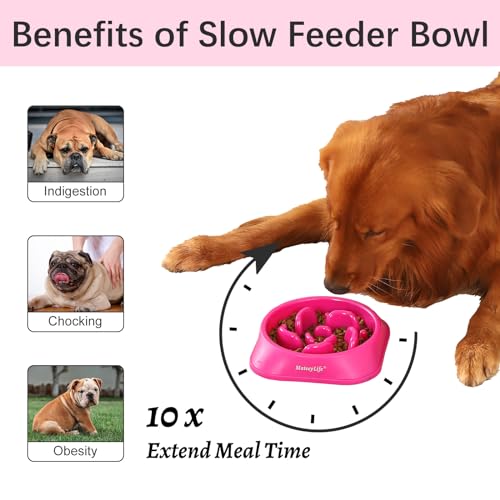 1 Pack Slow Feeder Dog Bowls (J-Purple / Medium)