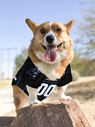 NFL NFC South Mesh Jersey for Dogs (Carolina Panthers / Medium)