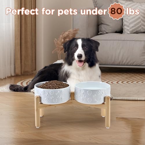 Elevated Dog Bowls Ceramic (7.3 in - 5.3 cups / White - Skull)