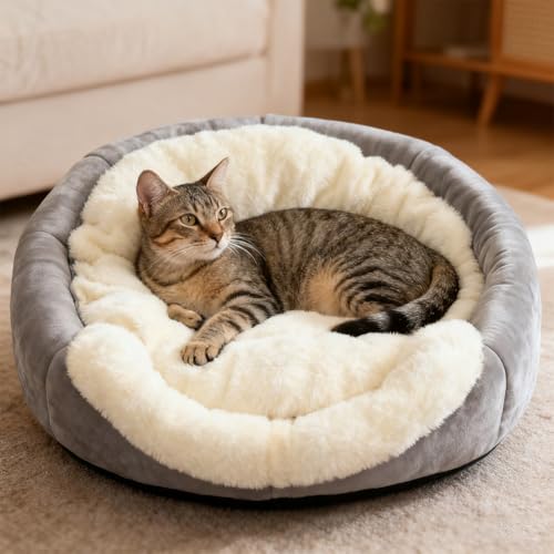 Cat Beds for Indoor Cats (Rabbite Gray / XL)
