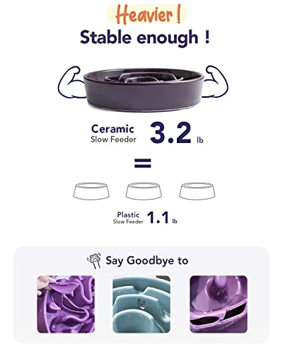 Ceramic Slow Feed Dog Bowls (Maze Purple+Stand / M-1.5 Cups)