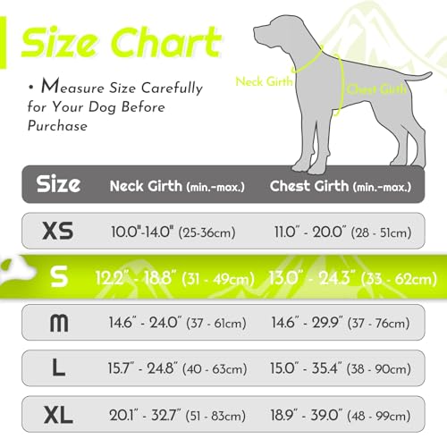 Dog Harness for Small Dogs (Small / Green)