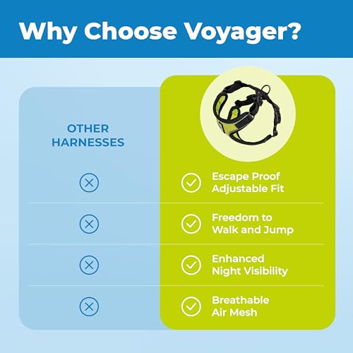 Voyager Escape (Black Trim-Lime (327) / XXS (Chest: 11.5 - 14"))