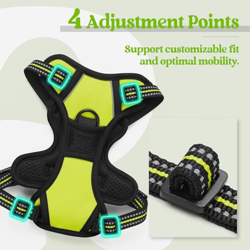 Dog Harness No Pull with 2 Leash Clips (X-Small / Wild Lime)