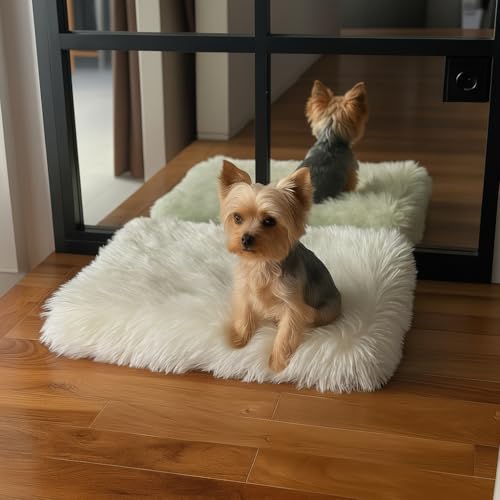 Faux Fur Orthopedic Rectangular Dog Bed (White / Small)