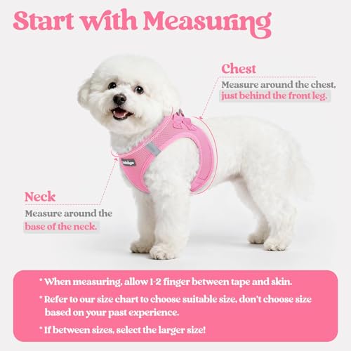 Dog Harness Small Sized and Leash Set (Light Pink / Xs (chest: 13.3 - 15.5"))