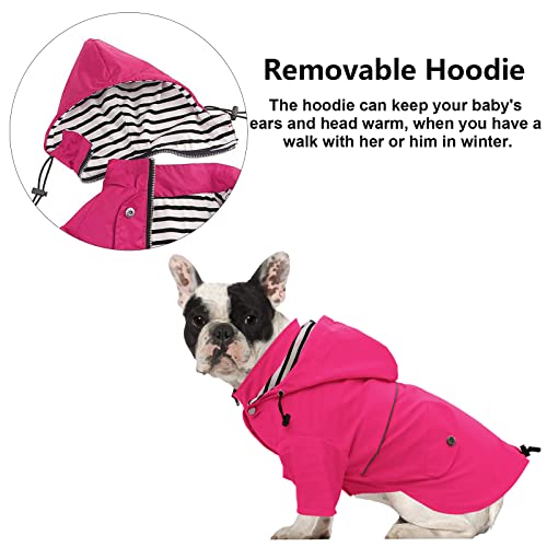 Dog Zip Up Raincoat with Reflective Buttons (Small / Pink)