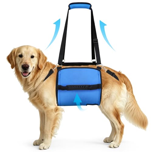 Rehab Dog Lift Harness (Blue / Medium)