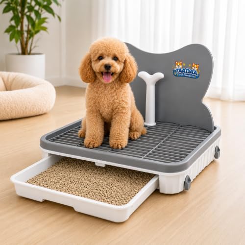 Dog Potty Training Tray with Splash Guard (Grey)