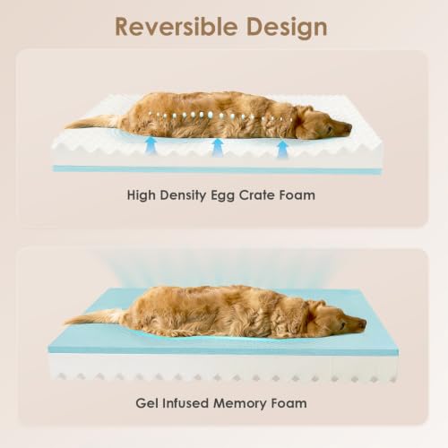 Medium Memory Foam Dog Crate Bed Washable (Grey / 30*20*3 Inches)