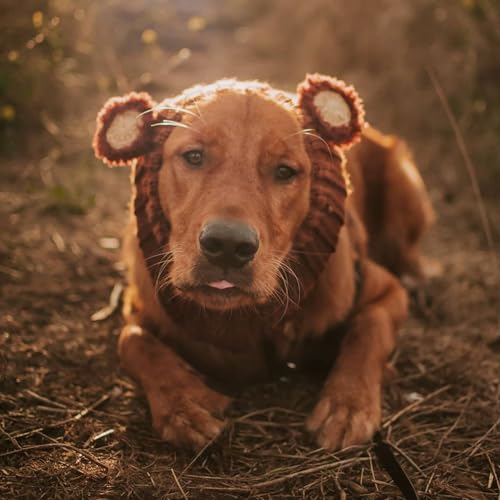 Fuzzy Bear Costume (Large / Fuzzy Brown)