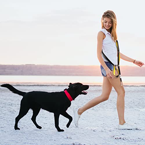 Heavy Duty Dog Leash for Large Dogs (Orange)