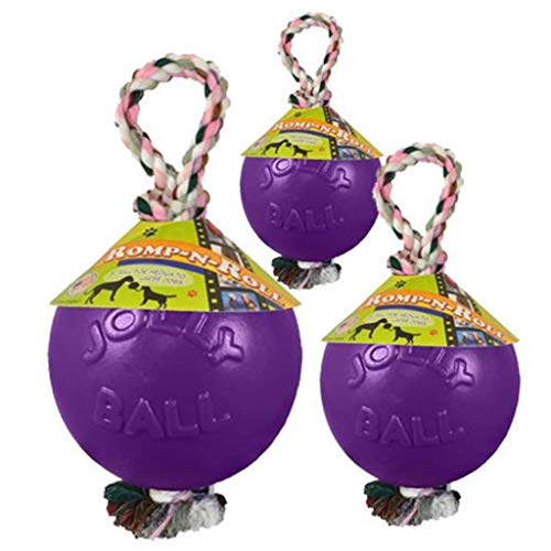 Romp-N-Roll Rope & Ball Dog Toy, 8 in Large, Purple (Purple / Large (8 in))
