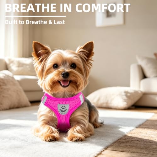 Dog Harness Collar and Leash Set No Pull for Small Medium Sized (Solid DeepPink / M (CHEST 16"-18"))