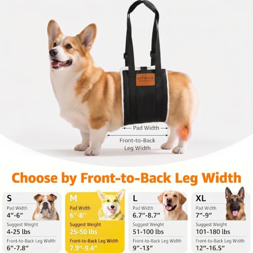 Adjustable Dog Lifting Harness (Black / Medium)