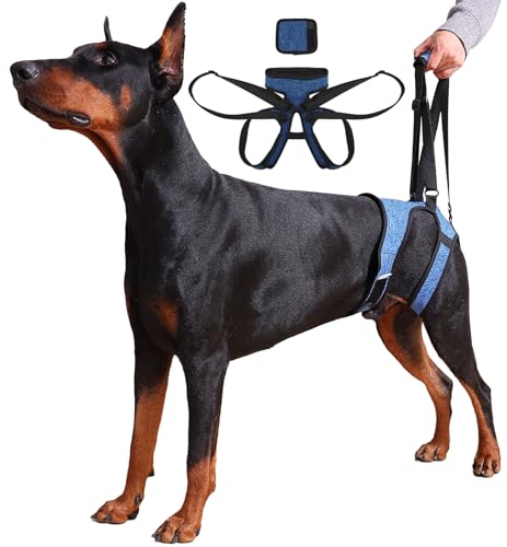 Dog Lift Harness (M / Blue)
