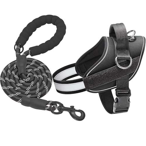 Essential Dog Harness (S / Black)