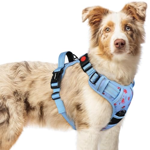Dog Harness Medium Sized (Medium / Floral Blue)