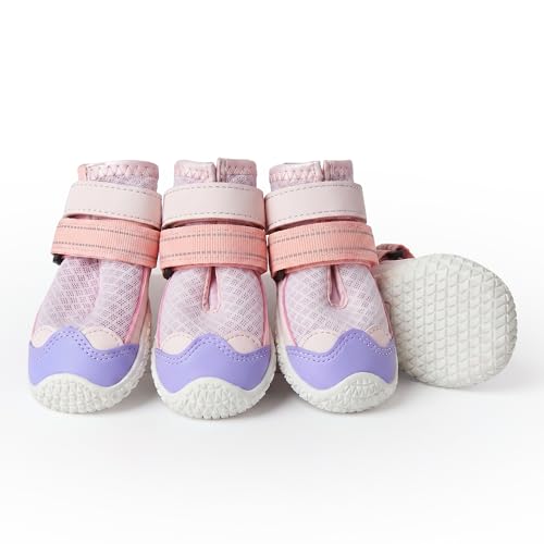 365 Dog Shoes (Pink Purple / Size 8: 3"x3.35"(W*L) (Pack of 4))