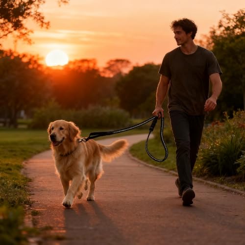 2 Pack Bungee Leash for Large Dogs that Pull (Black+Khaki)