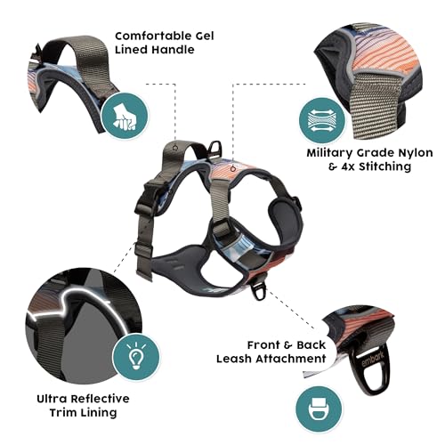 Embark No Pull Dog Harness (M / Santa Monica)