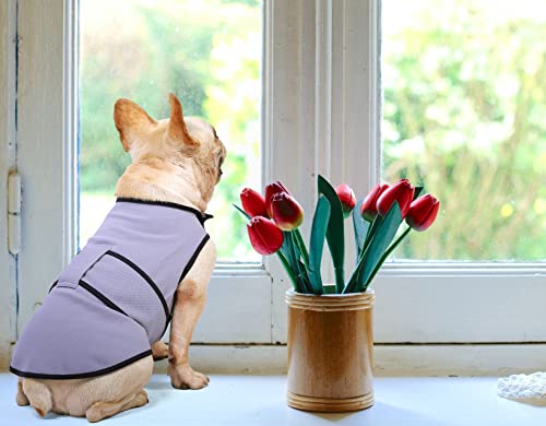 Dog Anxiety Jacket (Sky Blue / Medium)