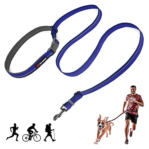 Hands Free Adjustable Length Dog Leash (Blazing Blue)