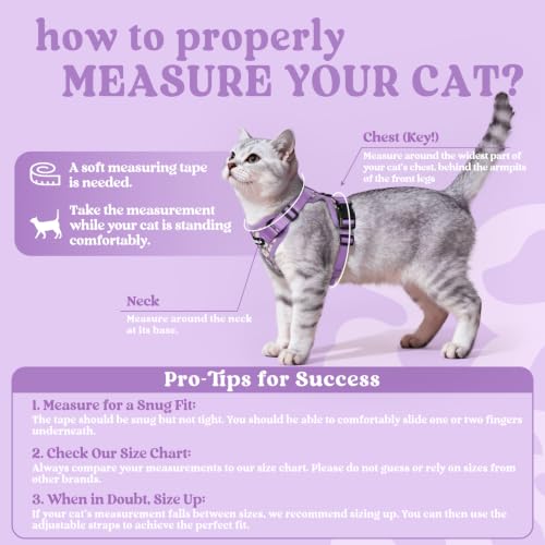 Cat Harness and Leash Set (M / Purr-ple Daisy)