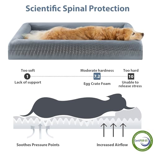 XXL Extra Large Orthopedic for Senior Dog BedComfy Sleeping (Grey / XX-L (45x35x7in))