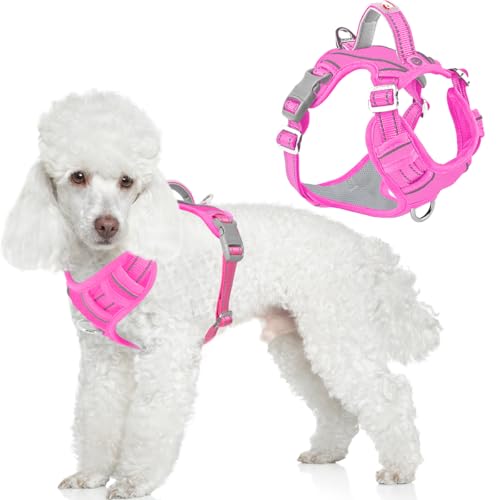 No Pull Dog Harness for Small Sized Dogs (Small(Chest:19.5-26”) / Pink-Oxford)