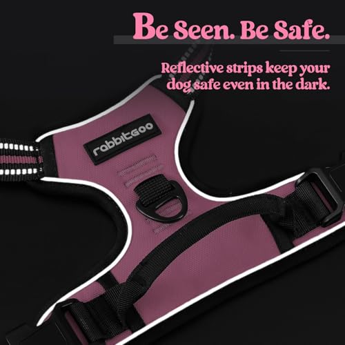 Dog Harness No Pull for Small Dogs with 2 Leash Clips (Small / Pink)