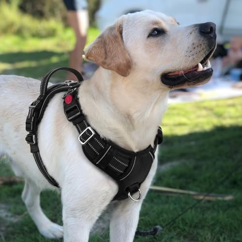 Dog Harness for Large (Black / Large)