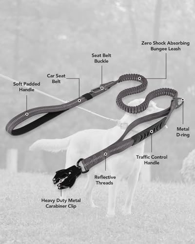 Tactical Bungee Dog Leash (Gray)