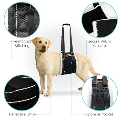 Dog Lift Harness Sling for Back Legs (Extra Large / Black)