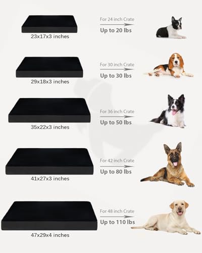 Orthopedic Dog Bed for Medium Dogs with Waterproof Lining (Black / 29.0"L x 18.0"W x 3.0"Th)
