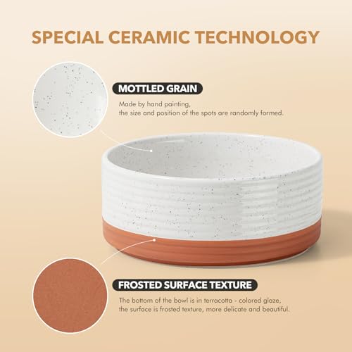 Elevated Dog Bowls (Double Bowls with Stand- Vanilla White / 5CUPS)