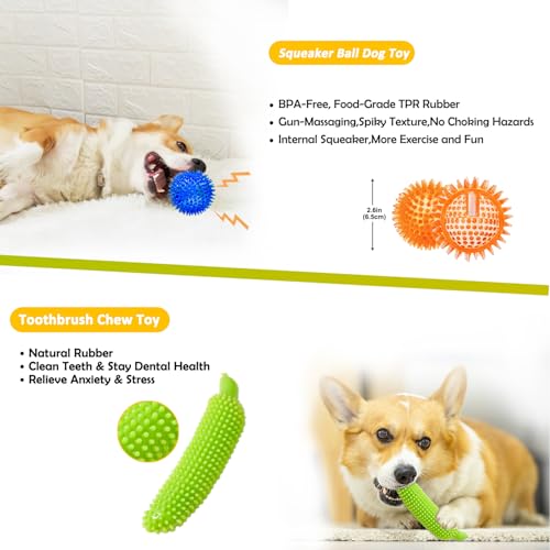 Dog Toys 25 Pack for Fun and Teeth Cleaning