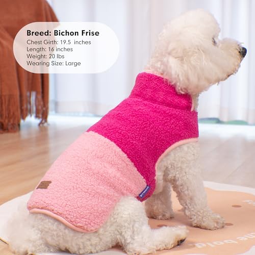 Sherpa Dog Coat Reversible Dog Jackets for Small Dogs (Medium (10-15lbs) / Rose Red)